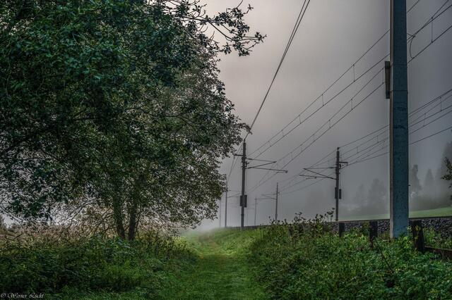 Foto: Copyright Werner Lückl