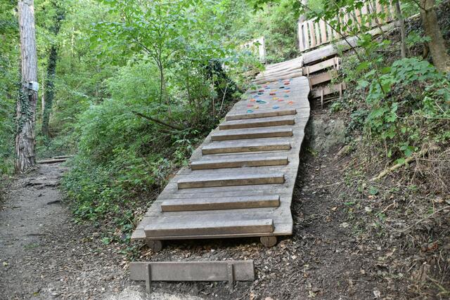 Kletterstiege am Waldlehrpfad für viel Action zwischendurch. | Foto: Preineder