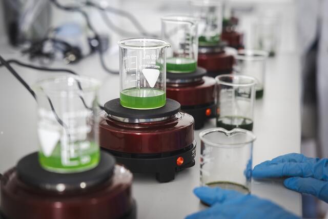 Foto: Anna Stöcher/ISTA