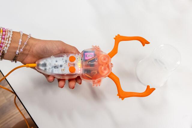 Foto: Anna Stöcher/ISTA