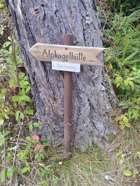 und dieser kleine Pfeil hätte mir anfangs den Weg weisen sollen, gefunden hab ich ihn im Gebüsch