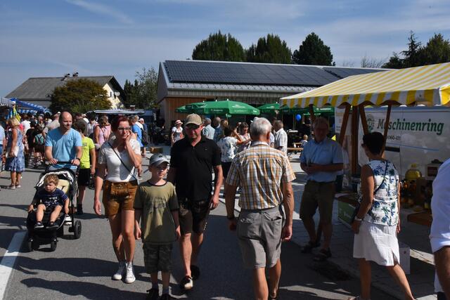 Foto: Alois Braid/zema-medien.de