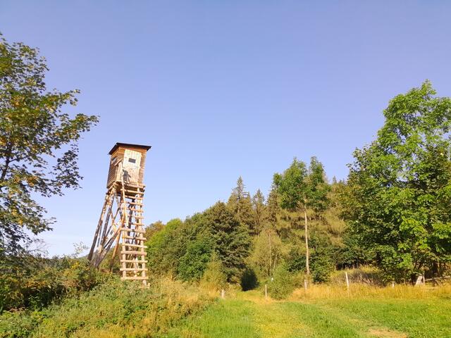 Bald bin ich wieder im Wald, es geht erstmal wieder bergab