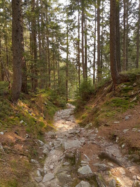 und ich habe mich entschieden diesen Steig zu gehen