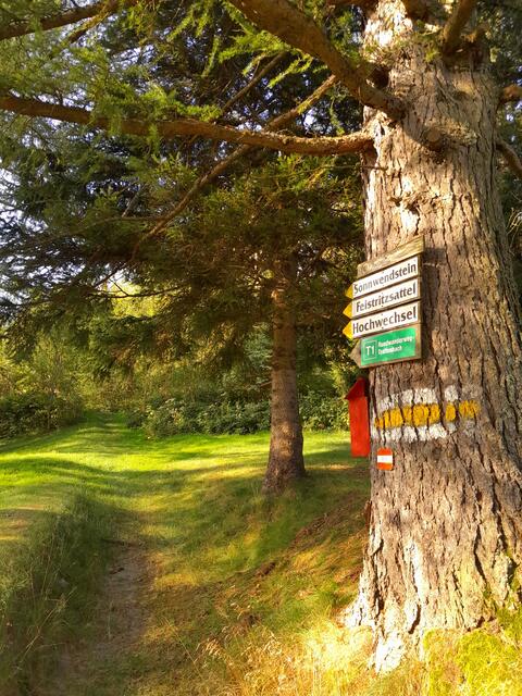 Hier gibts Wanderwege in alle Richtungen. Ich gehe mal diesen Weg entlang
