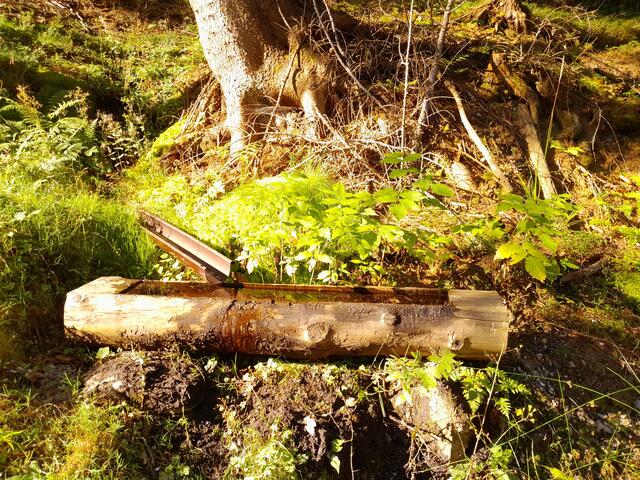 Weiter gehts auf einem Forstweg, wo ich dieses Brünnlein sehe und meine Arme, Nacken und Stirn erfrischen kann - tut das gut