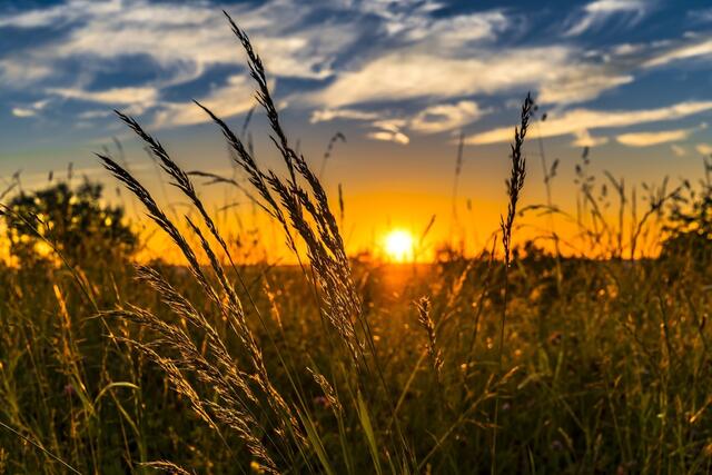 Am Montag erwartet uns ein überwiegend sonniger Tag, der sich bis zum Nachmittag zu einem sehr warmen bis heißen Tag entwickeln wird. | Foto: Pixabay