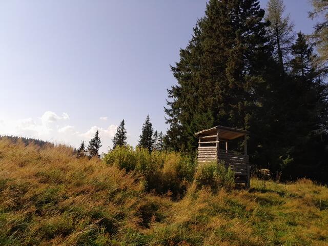 Hier am Jagdstand ist mal der Höhepunkt und jetzt geh ich wieder bergab