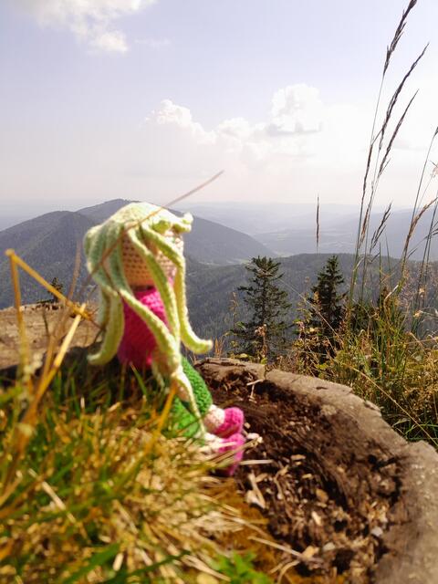 Moriyha genießt ihre ersten Wanderungen und schaut in die Ferne - im Hintergrund der große Otter, wo sie mich das 1. mal begleitet hat