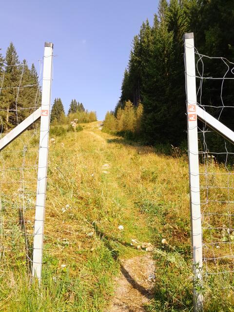 hier durch und sehe das dies auch der Alpannonia Weitwanderweg führt