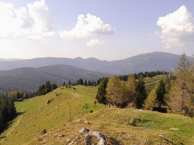 Am Gipfel des Erzkogels tolle Aussicht, der Berg rechts oben ist das Stuhlegg.