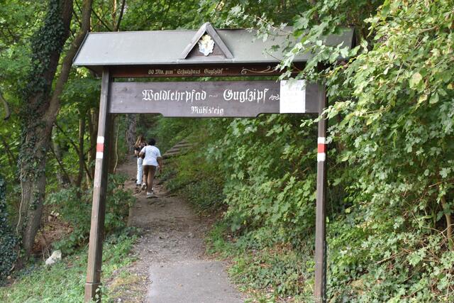 Waldlehrpfad Guglzipf. | Foto: Preineder