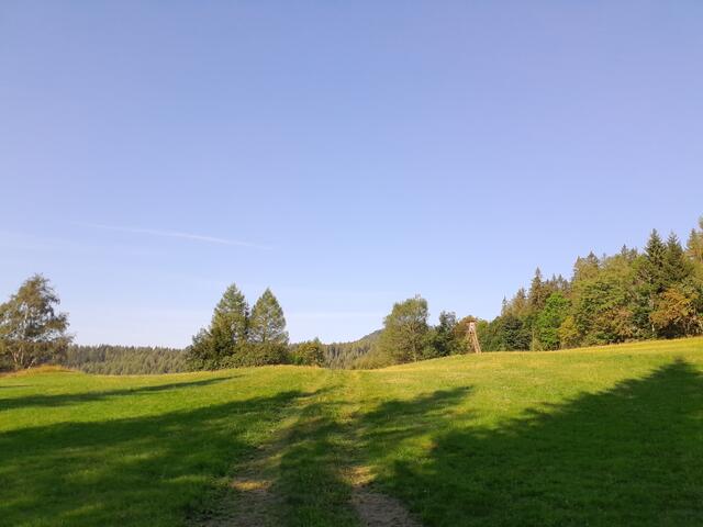 Markierungen für Wanderwege sehe ich erstmal keine, aber ich marschier einfach weiter. Die Richtung laut Karte stimmt ja