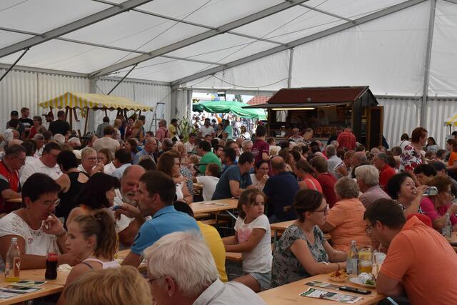 Foto: Alois Braid/zema-medien.de