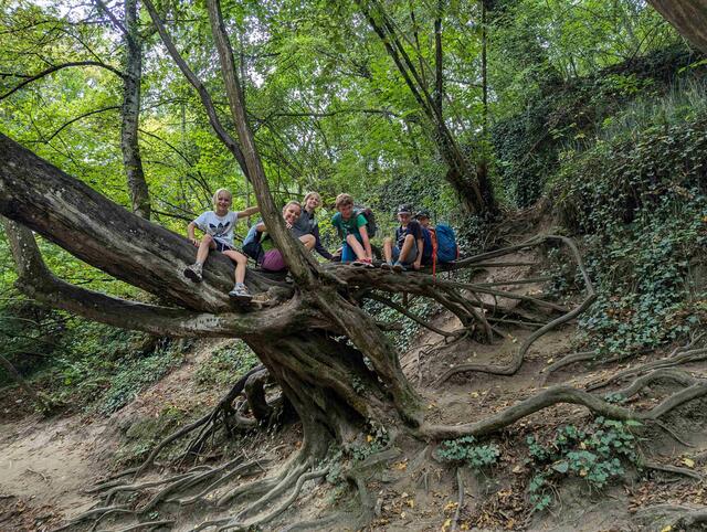 Foto: Foto: Dornetshuber