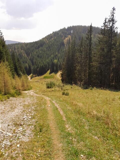 Auf den Kogel könnte ich auch noch gehen, aber das sind mir dann doch zuviel Höhenmeter