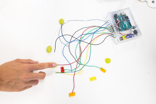 Foto: Anna Stöcher/ISTA