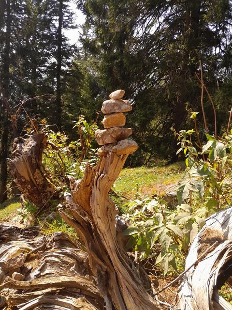 Beim Hinuntergehen bau ich auf dem entwurzelten Wurzelstock ein kleines Glückstürmchen