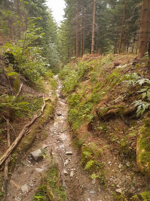 teilweise heftig ausgeschwemmt von den Unwettern