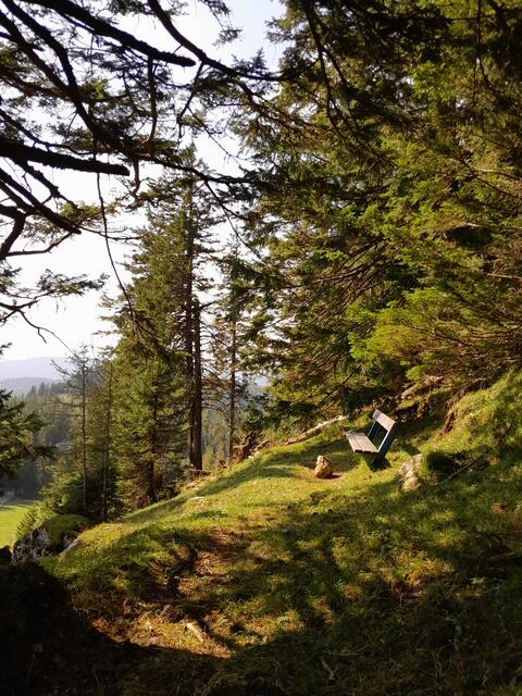 Auf einigen Bankerl kann man die Aussicht genießen 