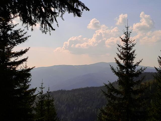 Zwischendurch sehe ich hin und wieder zum Wechsel