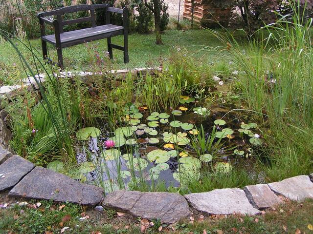 Im Garten blüht, kreucht und fleucht es nur so. | Foto: Claudia Cekal
