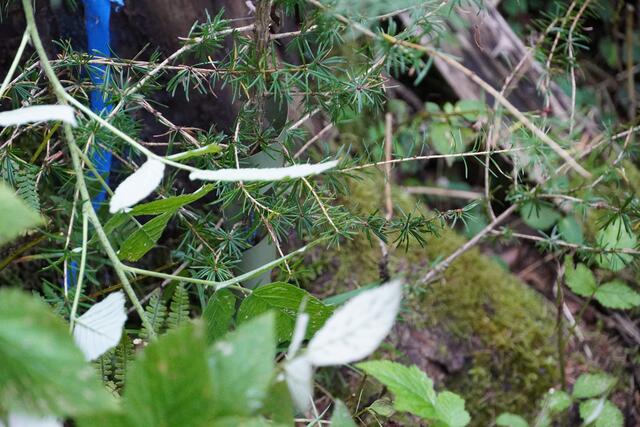 Foto: Nicole Hettegger