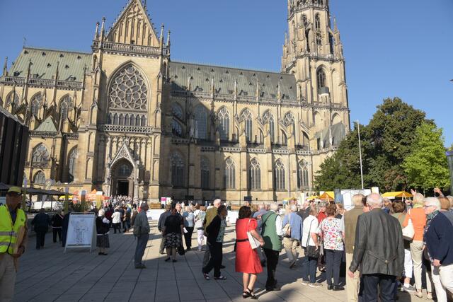Mehr als 50 Autobusse aus ganz Österreich sind bereits angemeldet.  | Foto: Christopher Schenkenfelder