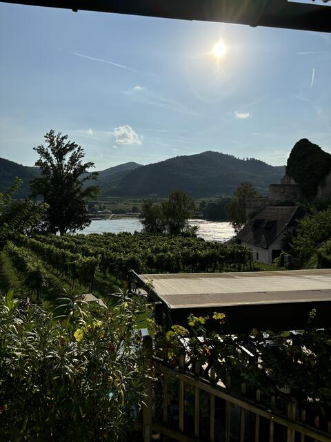 Die Location überzeugte nicht nur mit ausgezeichneter Verpflegung, auch der Blick über die Weingärten und die glitzernde Donau waren einzigartig. | Foto: MeinBezirk