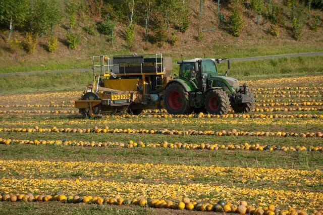 Die Ernte neigt sich dem Ende zu – nun wurde Bilanz gezogen. | Foto: LK Steiermark/Günther Hauer