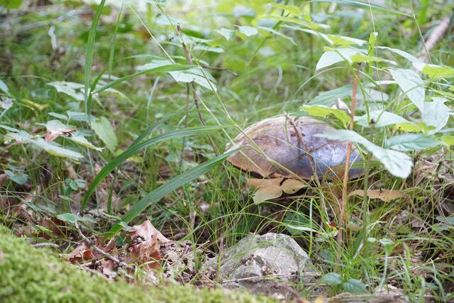 Foto: Nicole Hettegger