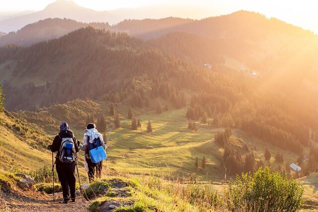 Wer Weitwandern will, hat in Tirol die Qual der Wahl. | Foto: Pixabay/Steven Weirather