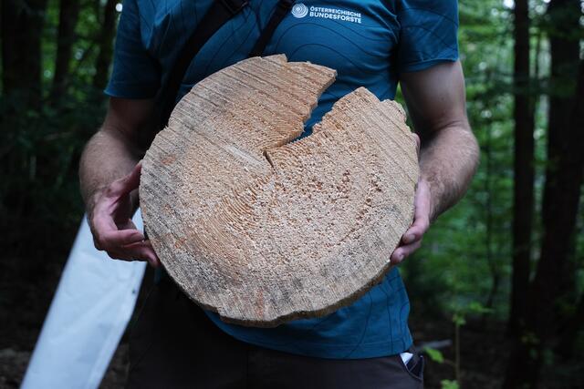 Foto: Nicole Hettegger