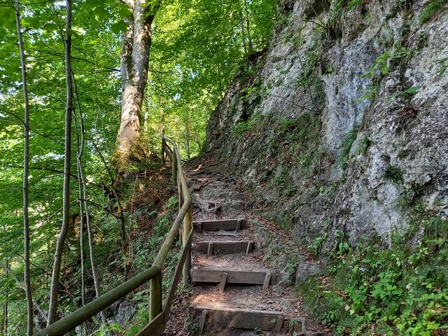 Foto: H.Bachinger 
