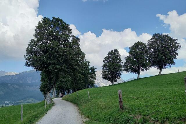 Foto: H.Bachinger 