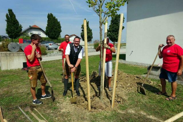 Foto: Josef Pointinger