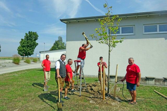 Foto: Josef Pointinger