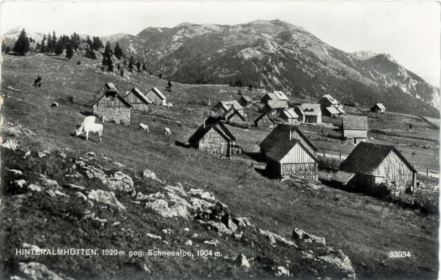 Foto: AV Edelweiß