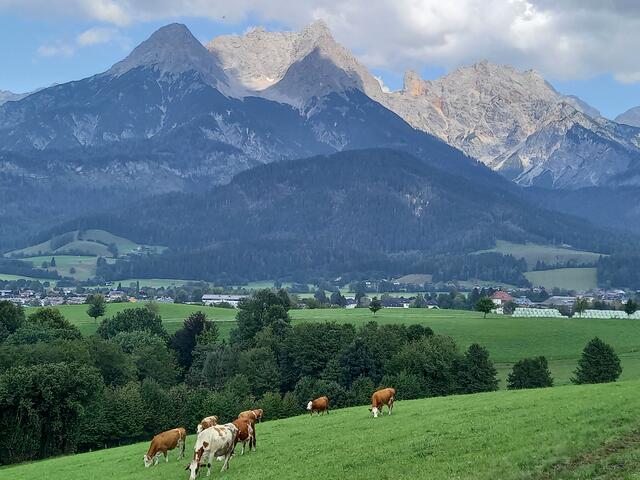 Foto: H.Bachinger 