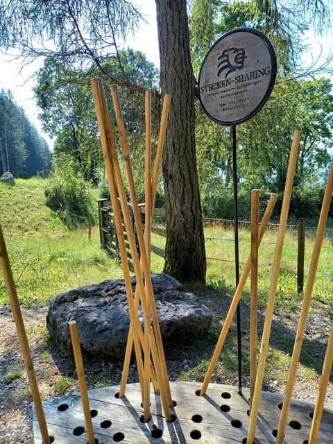 Foto: H.Bachinger 