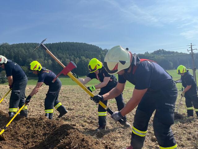 Foto: Georg Riernößl / AFKDO Pregarten