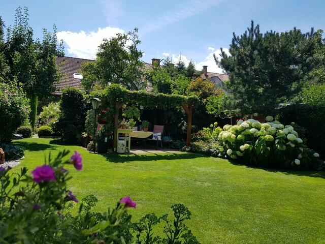 Johann Woltron | Foto: privat