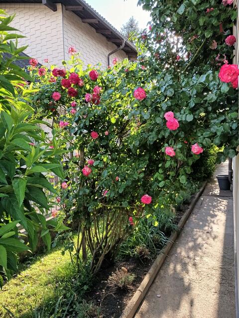 Gerhard Wurzer | Foto: privat