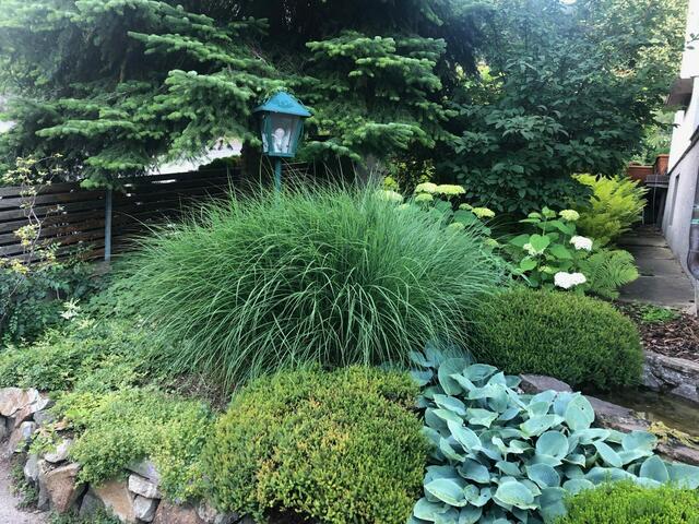 Angelika Schraik | Foto: privat