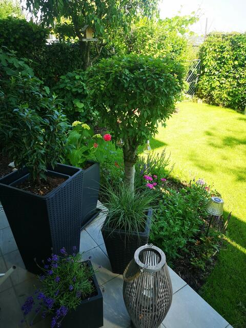 Doris Steiner-Bochdansky  | Foto: privat