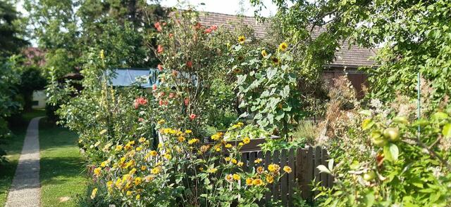 Elfriede Ebner-Lang | Foto: privat