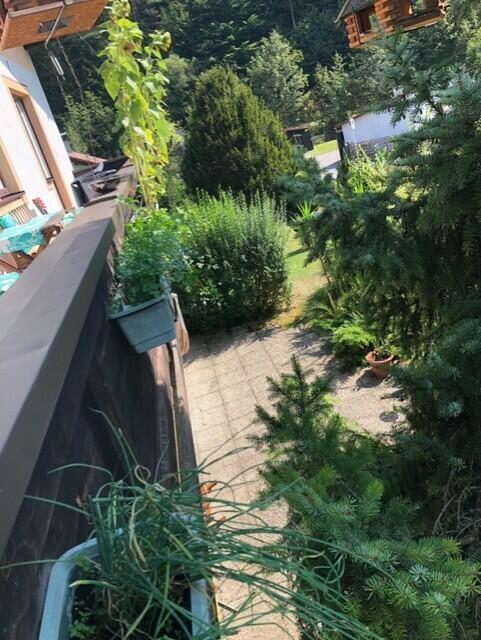 Mesi Edelbacher | Foto: privat