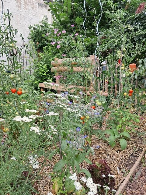 Eveline Strnad | Foto: privat