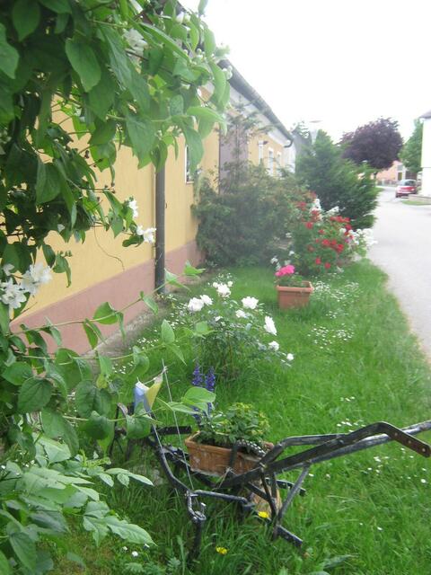 Karin Jirovetz | Foto: privat