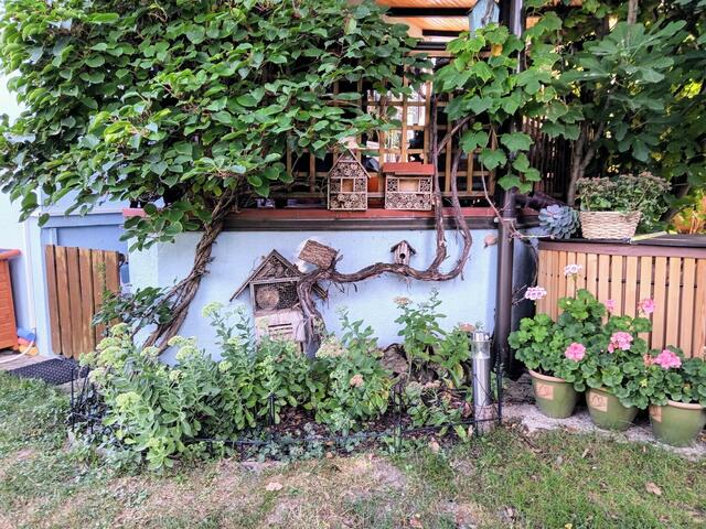 Eva Lümbacher | Foto: privat